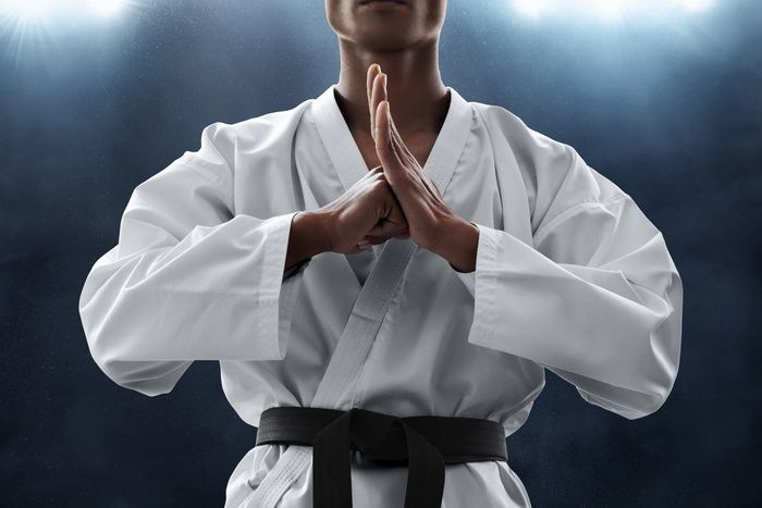 The Martial Arts Advantage
